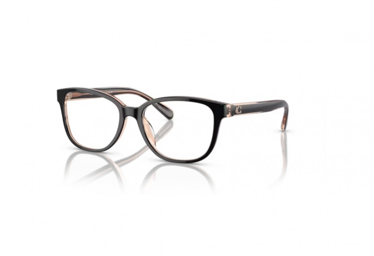 Eyeglasses Coach HC 6224U