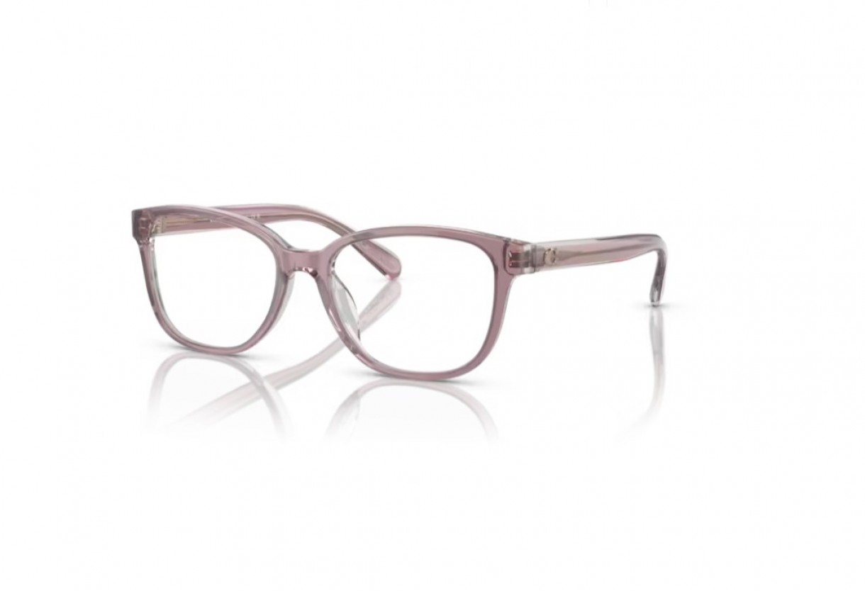 Eyeglasses Coach HC 6224U