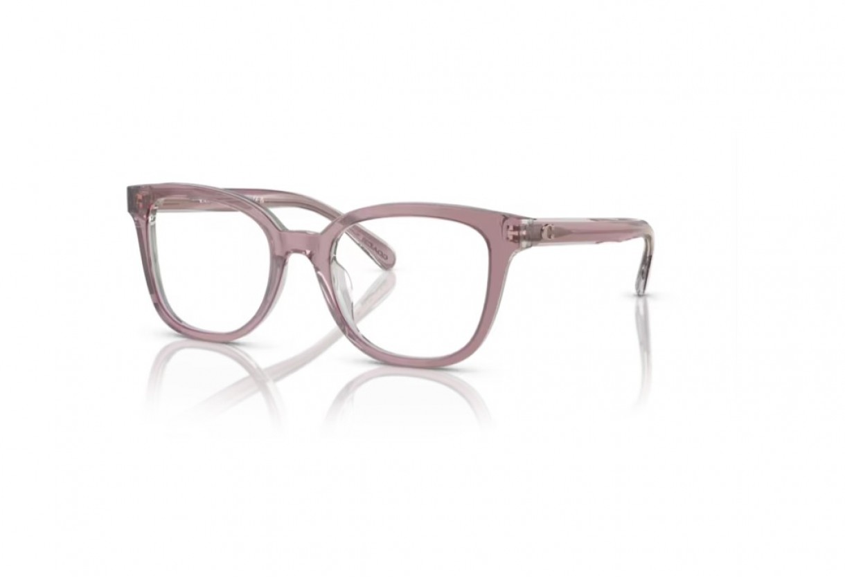 Eyeglasses Coach HC 6225U