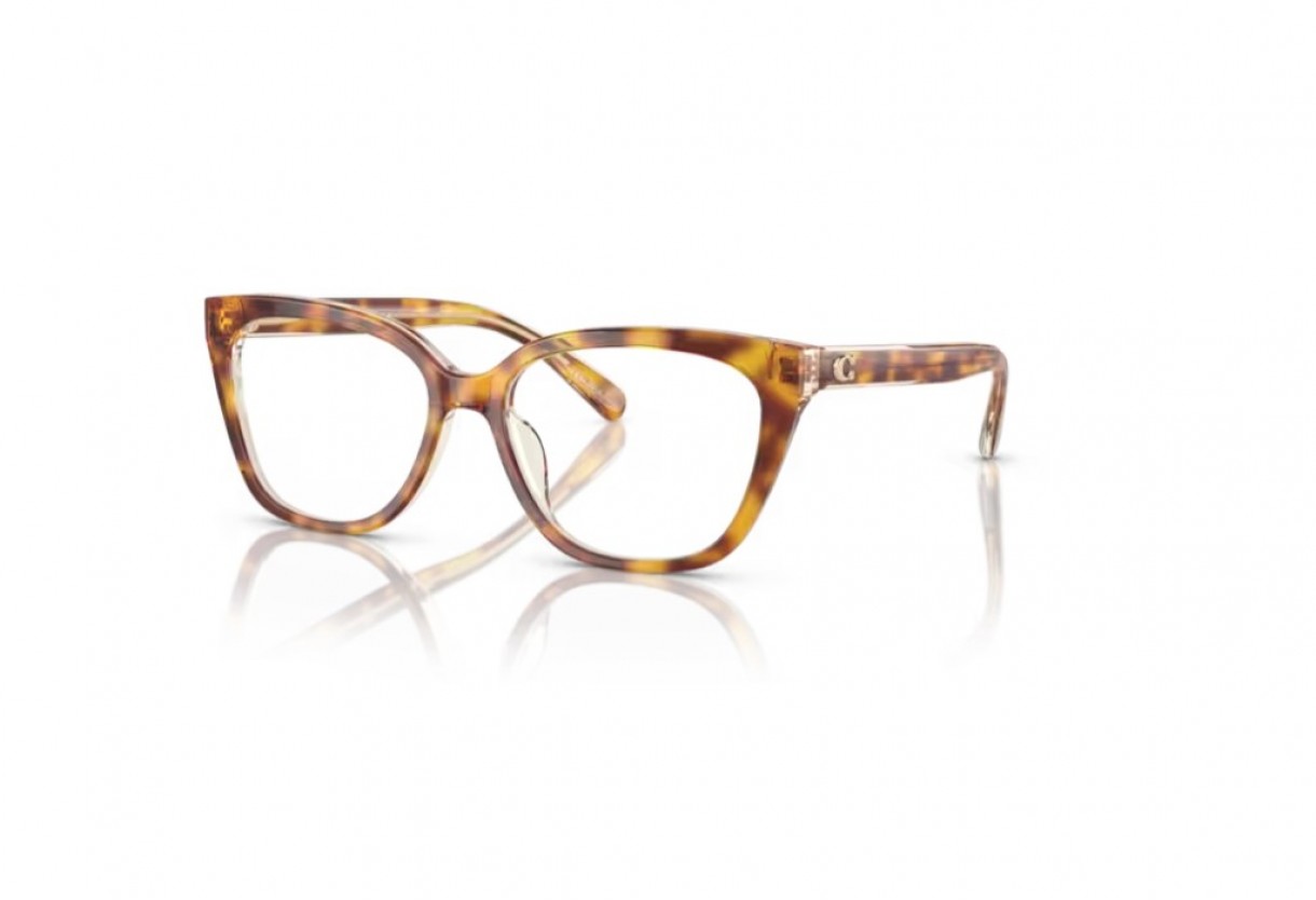 Eyeglasses Coach HC 6226U