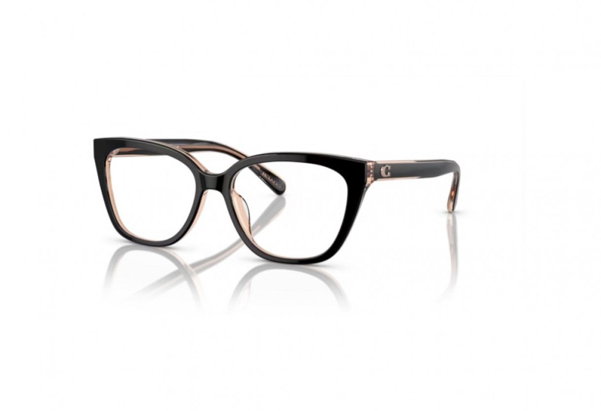 Eyeglasses Coach HC 6226U