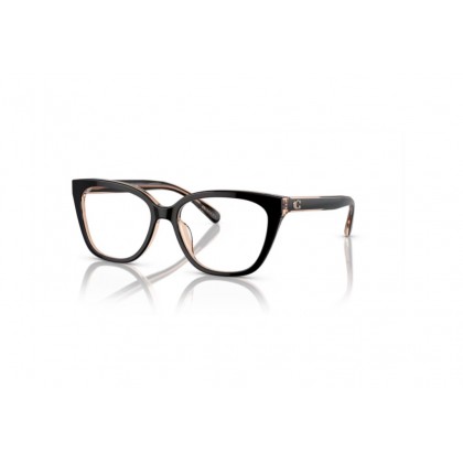 Eyeglasses Coach HC 6226U