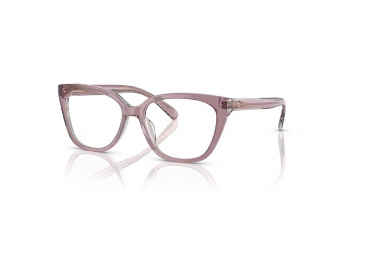 Eyeglasses Coach HC 6226U