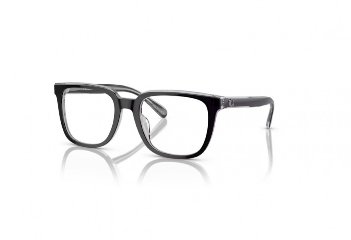 Eyeglasses Coach HC 6229U