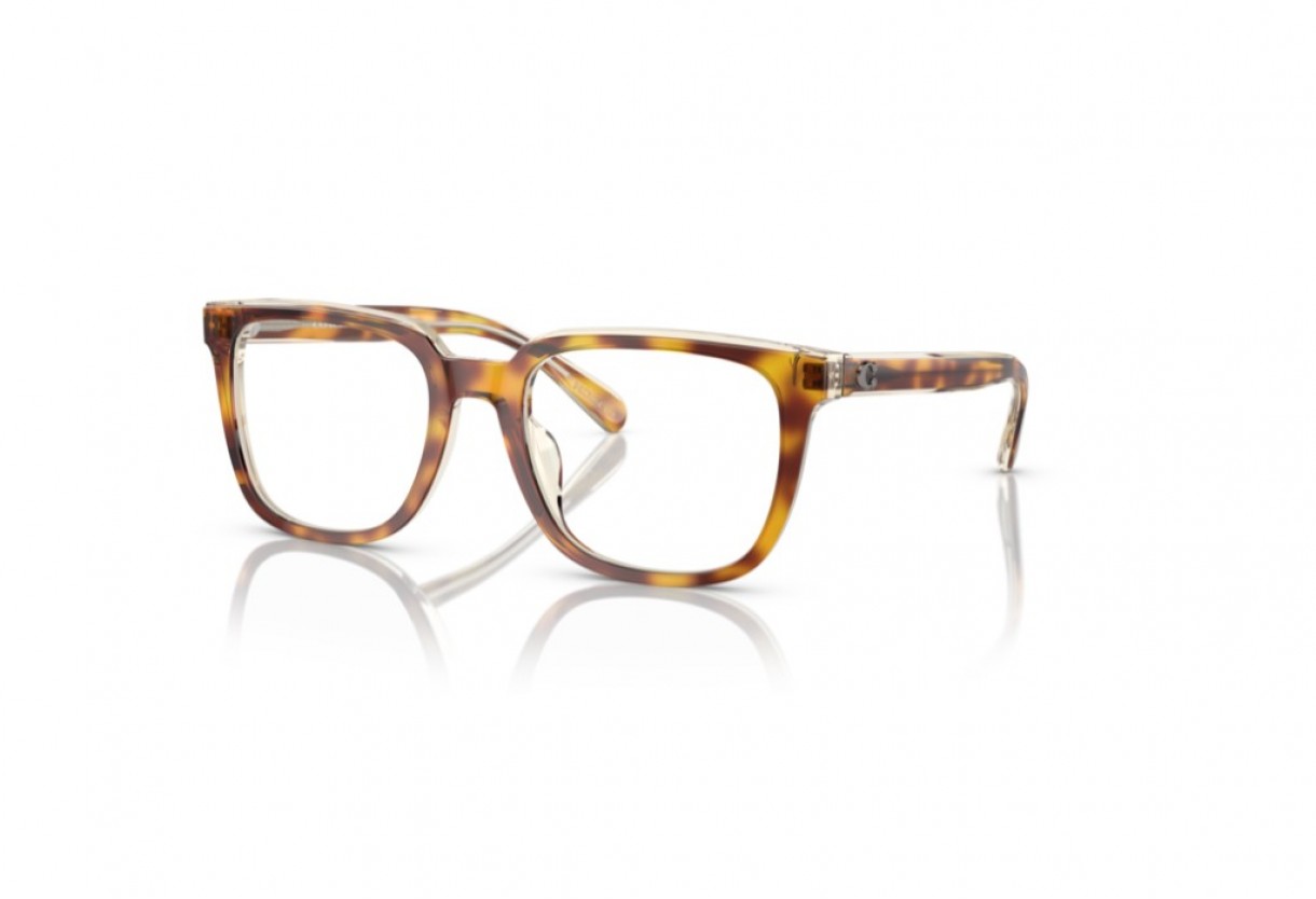 Eyeglasses Coach HC 6229U