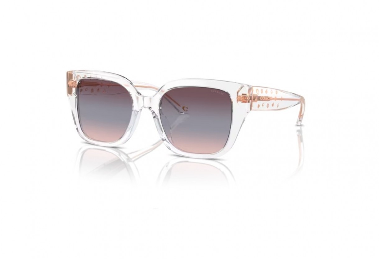 Sunglasses Coach HC 8392U