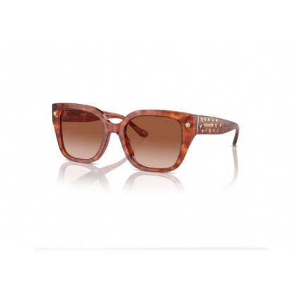 Sunglasses Coach HC 8392U