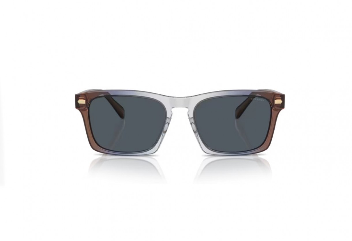 All coach sunglasses online