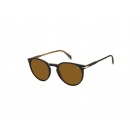 Sunglasses David Beckham DB 1139/S