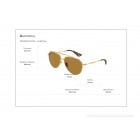 Sunglasses Dolce Gabbana DG 2302 Polarized