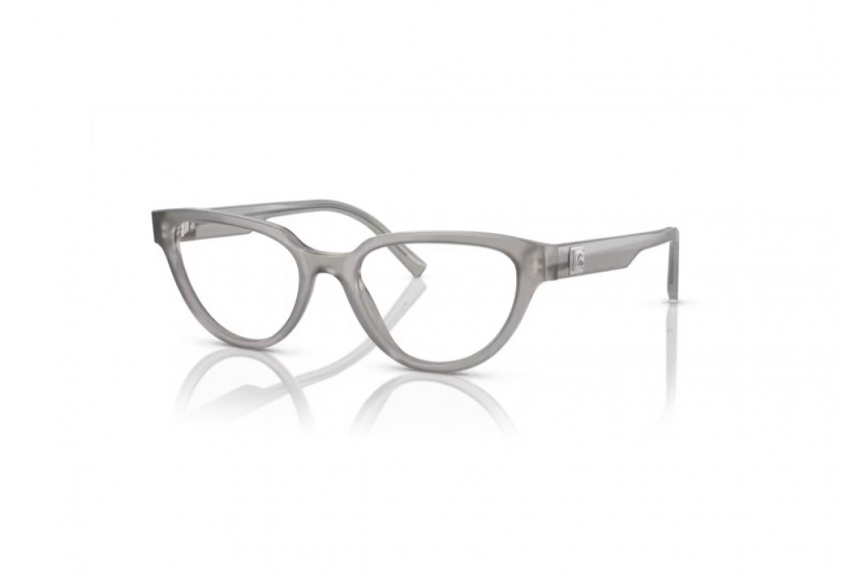 Eyeglasses Dolce Gabbana DG 3358