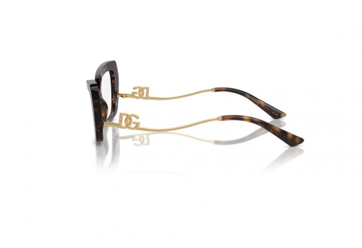 Eyeglasses Dolce Gabbana DG 3391B