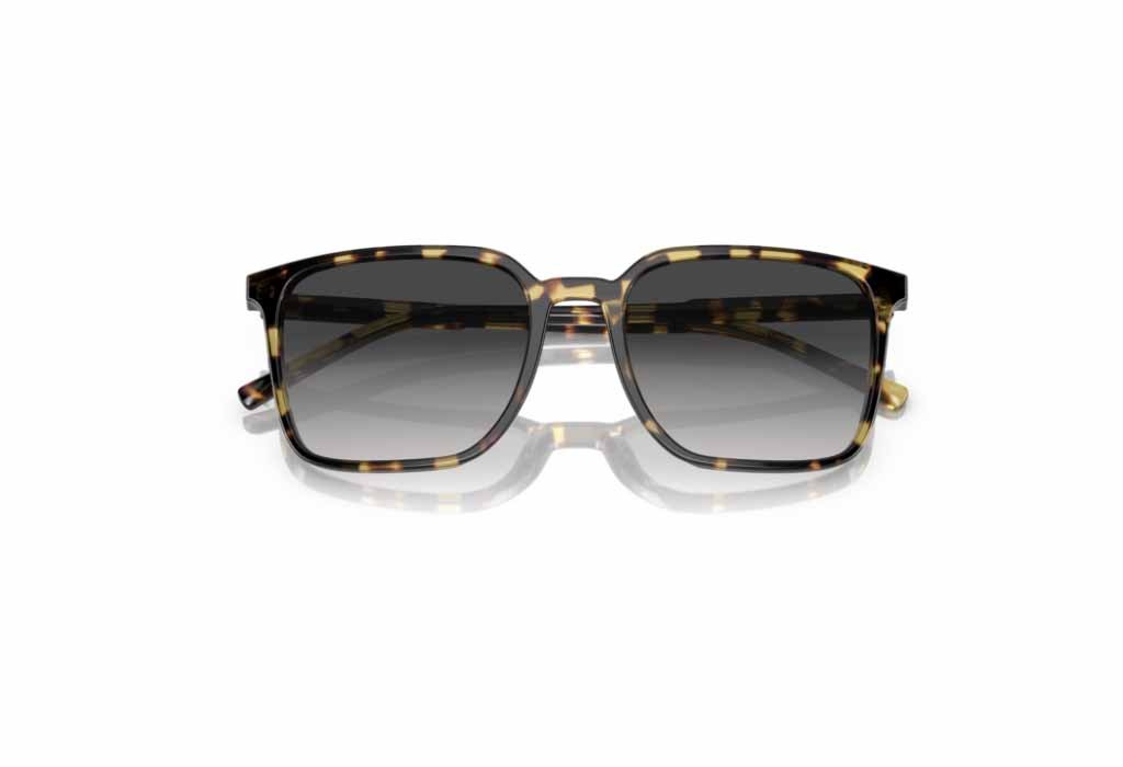 Sunglasses Dolce Gabbana DG 4424 - DG4424/512/8G/5619/145