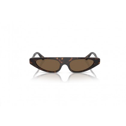 Sunglasses Dolce Gabbana DG 4442