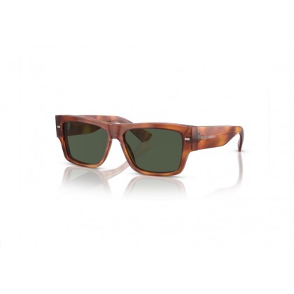 Sunglasses Dolce Gabbana DG 4451 Polarized