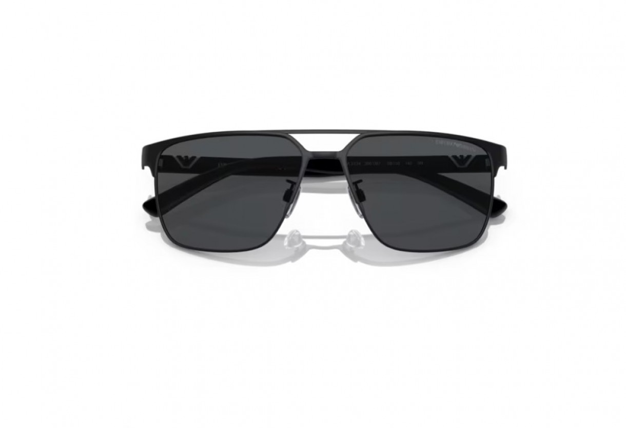 Sunglasses Emporio Armani EA 2134