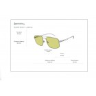 Sunglasses Emporio Armani EA 2139