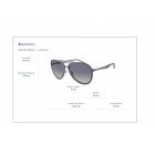 Sunglasses Emporio Armani EA 2145