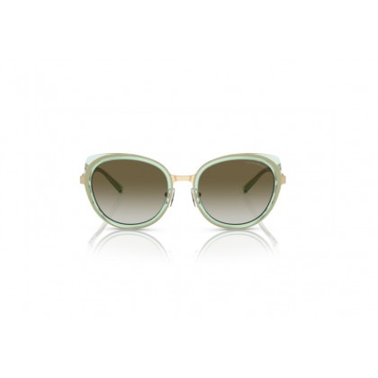 Sunglasses Emporio Armani EA 2146