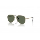 Sunglasses Emporio Armani EA 2149D