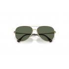 Sunglasses Emporio Armani EA 2149D