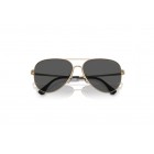 Sunglasses Emporio Armani EA 2149D