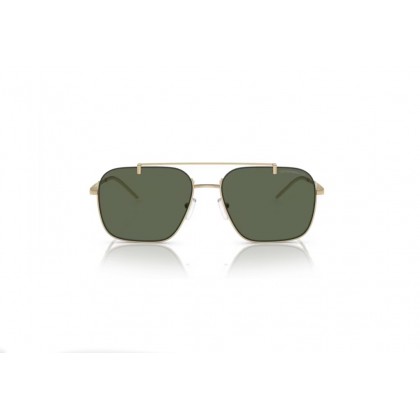 Sunglasses Emporio Armani EA 2149D