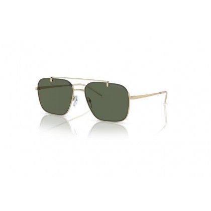 Sunglasses Emporio Armani EA 2149D