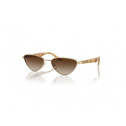 Sunglasses Emporio Armani EA 2153