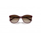 Sunglasses Emporio Armani EA 4073