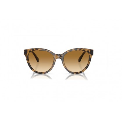 Sunglasses Emporio Armani EA 4140