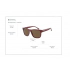 Sunglasses Emporio Armani EA 4163