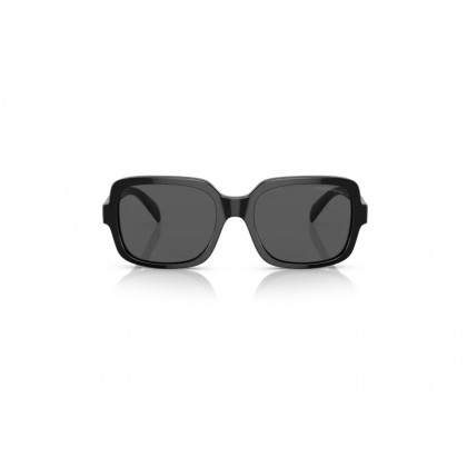 Sunglasses Emporio Armani EA 4195