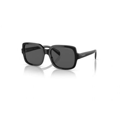 Sunglasses Emporio Armani EA 4195