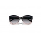 Sunglasses Emporio Armani EA 4198