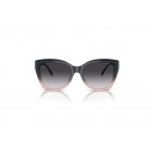 Sunglasses Emporio Armani EA 4198