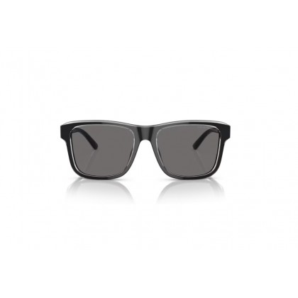 Sunglasses Emporio Armani EA 4208 Polarized