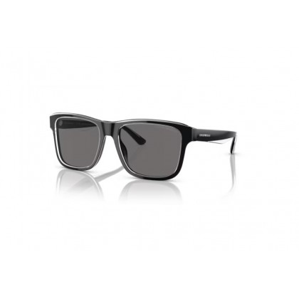 Sunglasses Emporio Armani EA 4208 Polarized