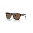 Sunglasses Emporio Armani EA 4208