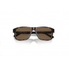 Sunglasses Emporio Armani EA 4208