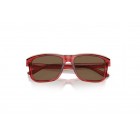 Sunglasses Emporio Armani EA 4208