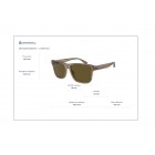 Sunglasses Emporio Armani EA 4208