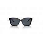 Sunglasses Emporio Armani EA 4209