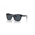 Sunglasses Emporio Armani EA 4209