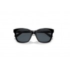 Sunglasses Emporio Armani EA 4209