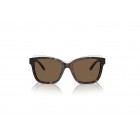 Sunglasses Emporio Armani EA 4209