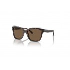 Sunglasses Emporio Armani EA 4209