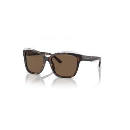 Sunglasses Emporio Armani EA 4209