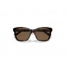 Sunglasses Emporio Armani EA 4209