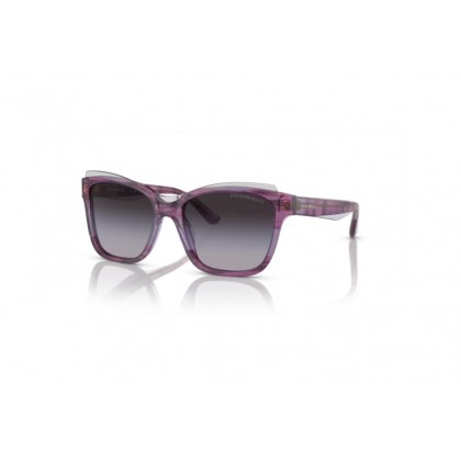 Sunglasses Emporio Armani EA 4209